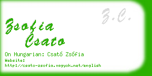 zsofia csato business card