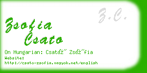 zsofia csato business card